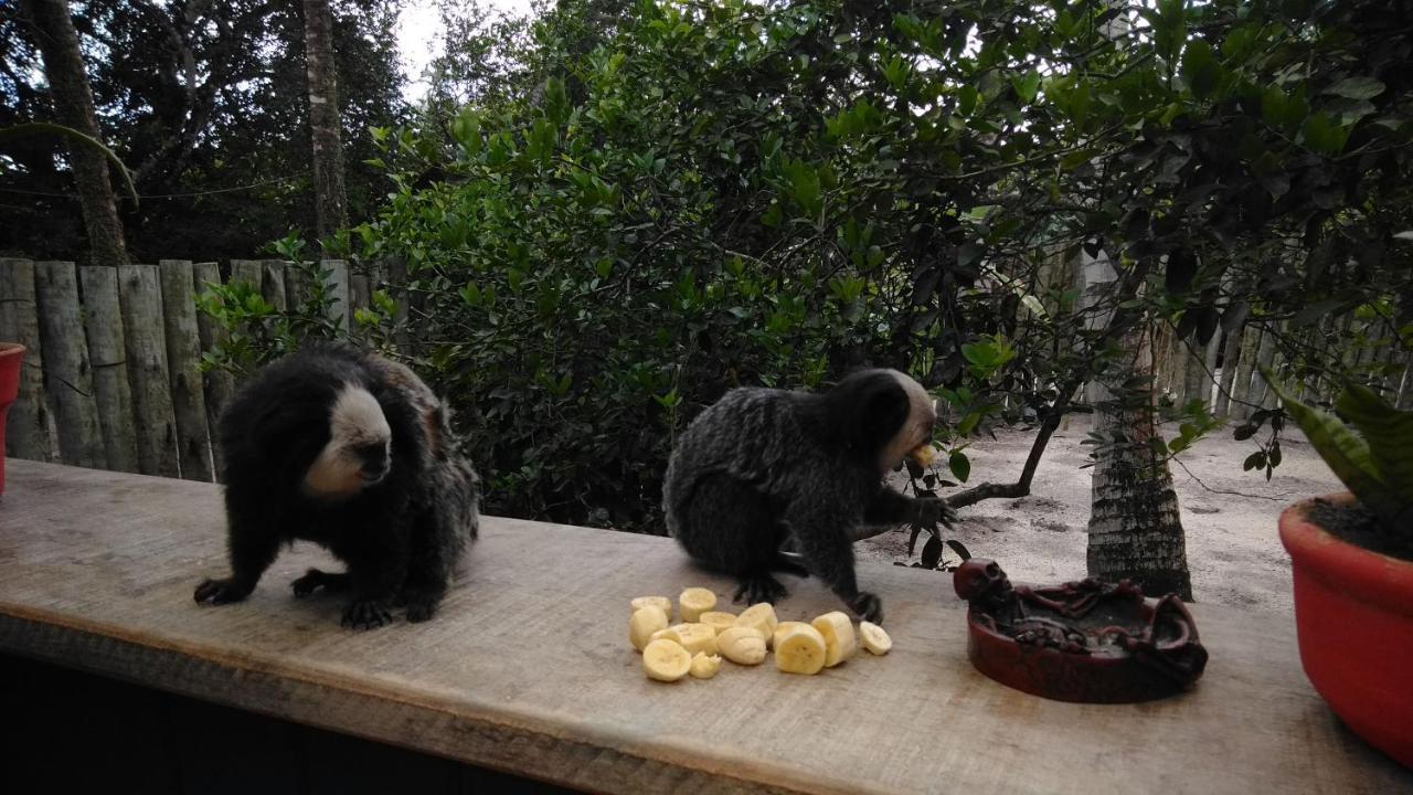 托兰克索 瑞弗吉旅馆酒店 外观 照片